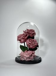Розово-лилави вечни рози в стъклен купол