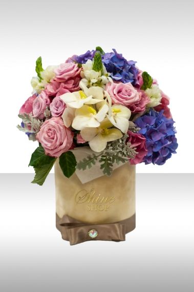 Кутия Катрин