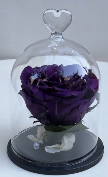 Тъмно лилава вечна роза в стъклен купол