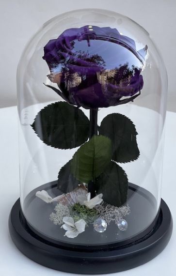 Тъмно лилава вечна роза в стъклен купол