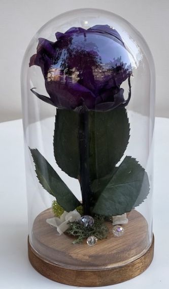 Тъмно лилава вечна роза в стъклен купол