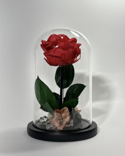 Вечна роза в стъклен купол в цвят корал
