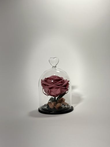 Розово- лилава вечна роза в купол