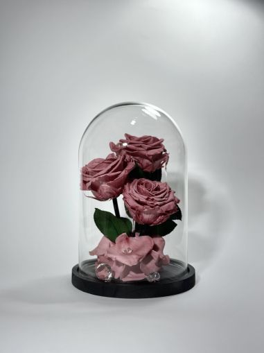 Розово-лилави вечни рози в стъклен купол