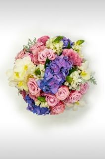 Кутия Катрин