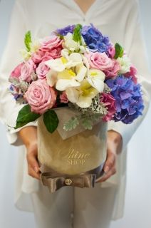 Кутия Катрин