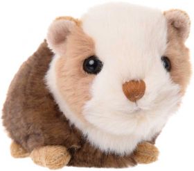 морско свинче- Piggy