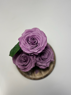 Светло лилави вечни рози в стъклен купол