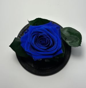 Тъмносиня вечна роза в стъклен купол