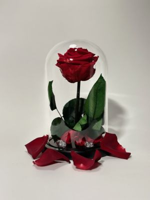 Червена вечна роза в стъклен купол