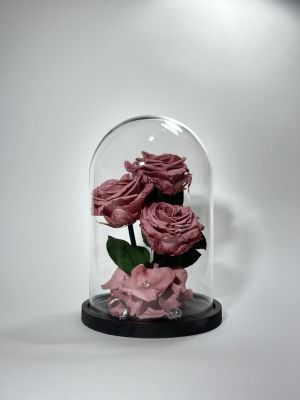 Розово-лилави вечни рози в стъклен купол