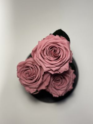 Розово-лилави вечни рози в стъклен купол