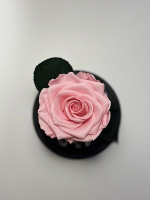 Светлорозова вечна роза в стъклен купол