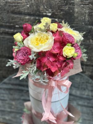 Кутия Аурелия