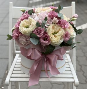 Кутия  Амелия